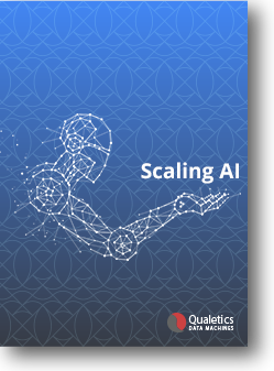 Scaling AI: Exploring a Successful Approach to Building AI
