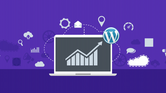 Analytics For WordPress: Data & Insights That Drive Growth